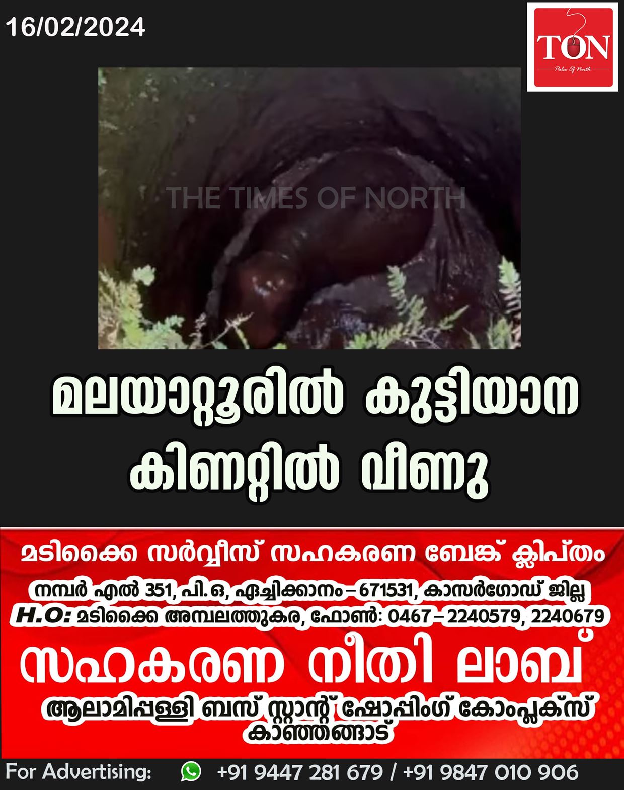 മലയാറ്റൂരിൽ കുട്ടിയാന കിണറ്റിൽ വീണു