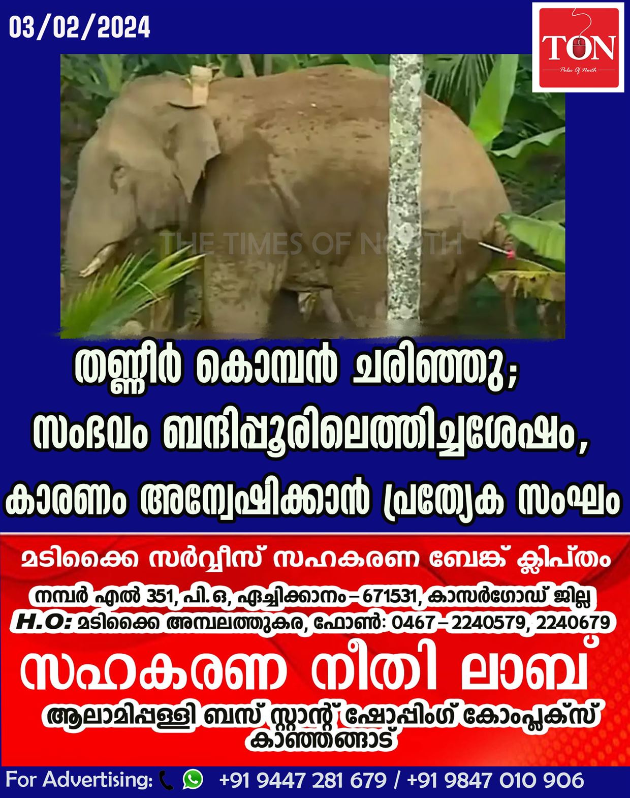 തണ്ണീർ കൊമ്പൻ ചരിഞ്ഞു; സംഭവം ബന്ദിപ്പൂരിലെത്തിച്ചശേഷം, കാരണം അന്വേഷിക്കാന്‍ പ്രത്യേക സംഘം