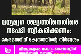 വന്യമൃഗ ശല്യത്തിനെതിരെ നടപടി സ്വീകരിക്കണം; കേരളത്തിന് കേന്ദ്രത്തിന്റെ നിർദ്ദേശം