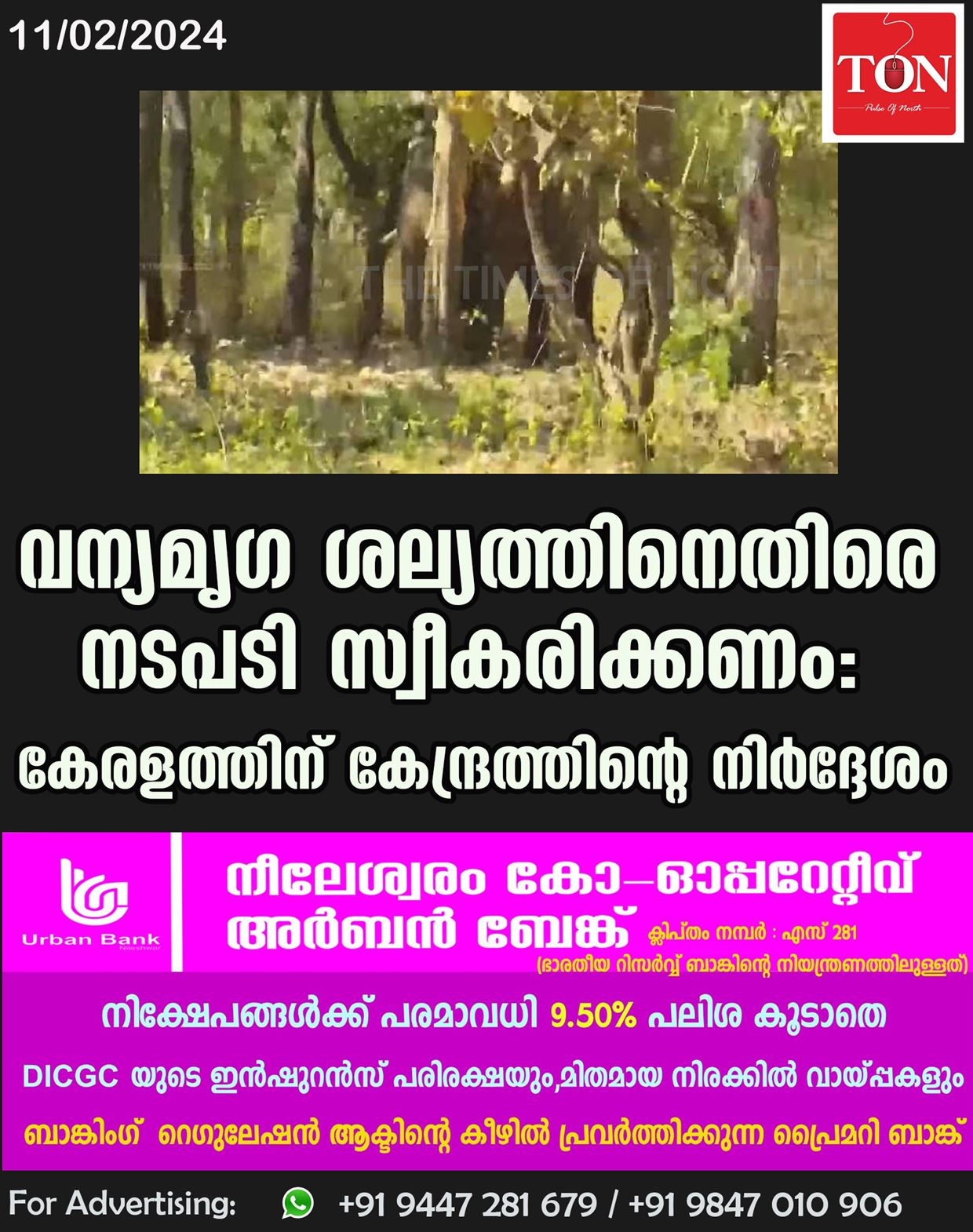 വന്യമൃഗ ശല്യത്തിനെതിരെ നടപടി സ്വീകരിക്കണം; കേരളത്തിന് കേന്ദ്രത്തിന്റെ നിർദ്ദേശം