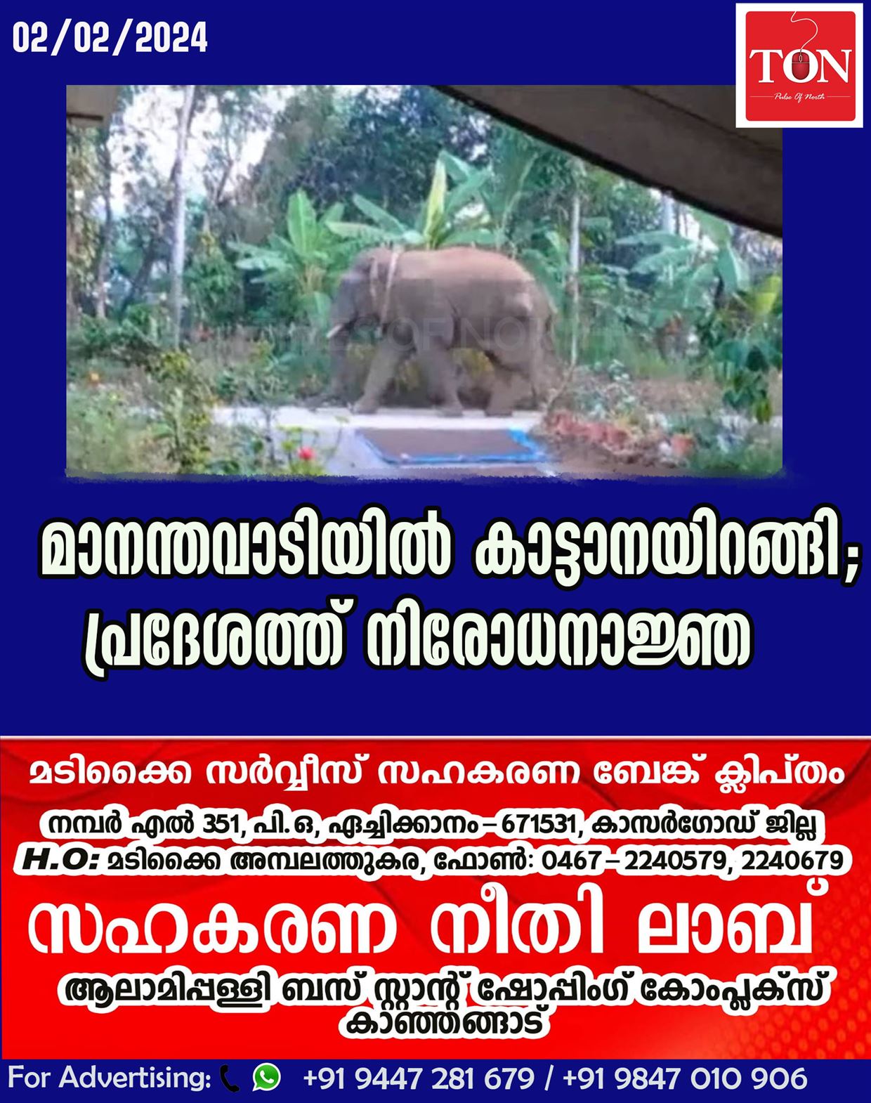 മാനന്തവാടിയില്‍ കാട്ടാനയിറങ്ങി;പ്രദേശത്ത് നിരോധനാജ്ഞ