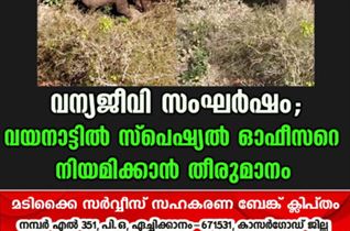 വന്യജീവി സംഘർഷം; വയനാട്ടിൽ സ്പെഷ്യൽ ഓഫീസറെ നിയമിക്കാൻ തീരുമാനം