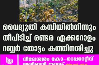 വൈദ്യുതി കമ്പിയിൽനിന്നും തീപിടിച്ച് രണ്ടര ഏക്കറോളം റബ്ബർ തോട്ടം കത്തിനശിച്ചു