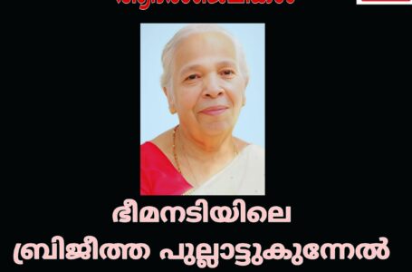 ഭീമനടിയിലെ ബ്രിജീത്ത പുല്ലാട്ടുകുന്നേൽ അന്തരിച്ചു