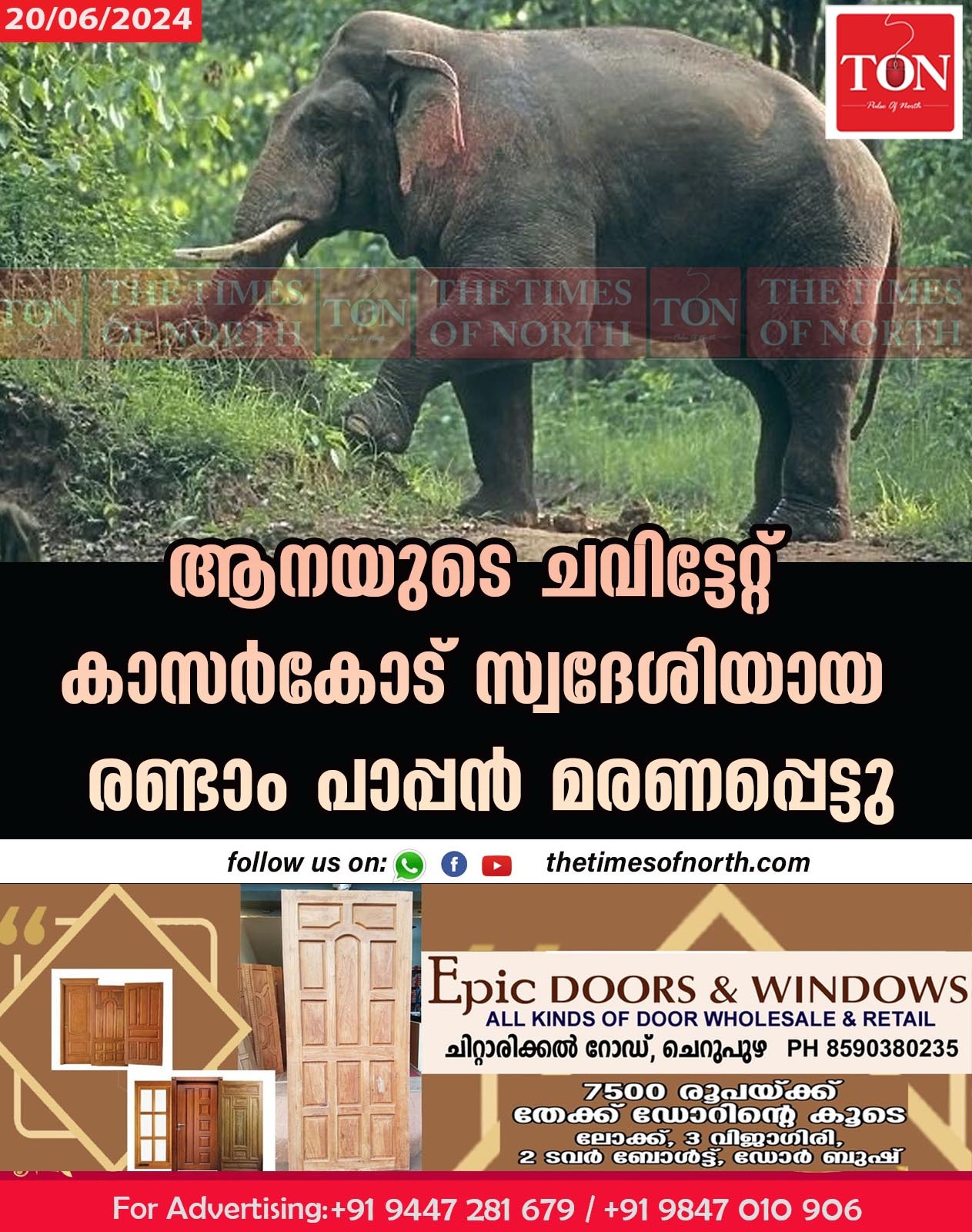 ആനയുടെ ചവിട്ടേറ്റ് കാസർകോട് സ്വദേശിയായ രണ്ടാം പാപ്പൻ മരണപ്പെട്ടു