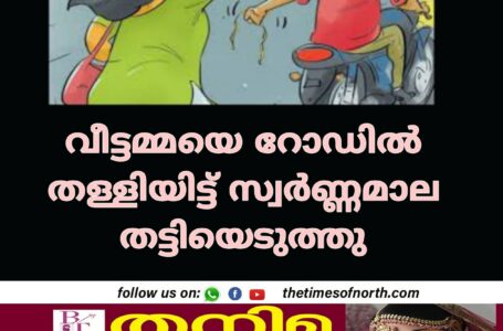 വീട്ടമ്മയെ റോഡിൽ തള്ളിയിട്ട് സ്വർണ്ണമാല തട്ടിയെടുത്തു