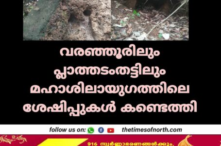 വരഞ്ഞൂരിലും പ്ലാത്തടം തട്ടിലും മഹാശിലായുഗത്തിലെ ശേഷിപ്പുകൾ കണ്ടെത്തി