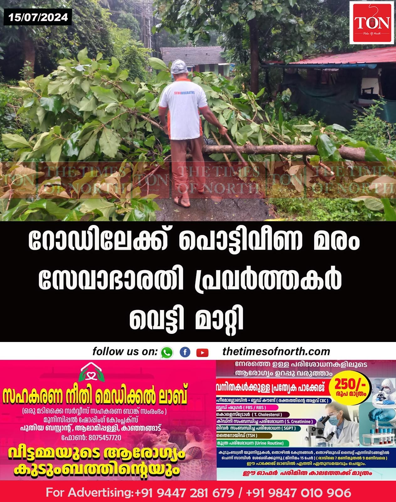 റോഡിലേക്ക് പൊട്ടിവീണ മരം സേവാഭാരതി പ്രവർത്തകർ വെട്ടി മാറ്റി