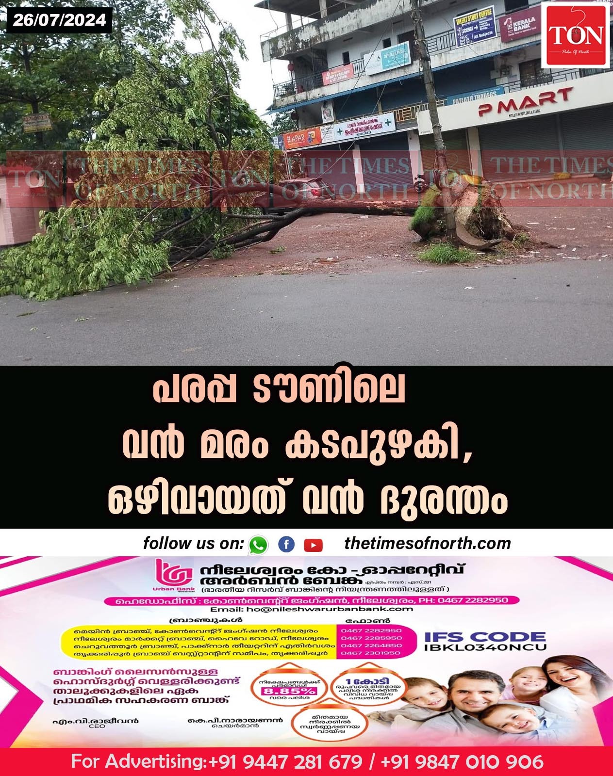 പരപ്പ ടൗണിലെ വൻ മരം കടപുഴകി, ഒഴിവായത് വൻ ദുരന്തം