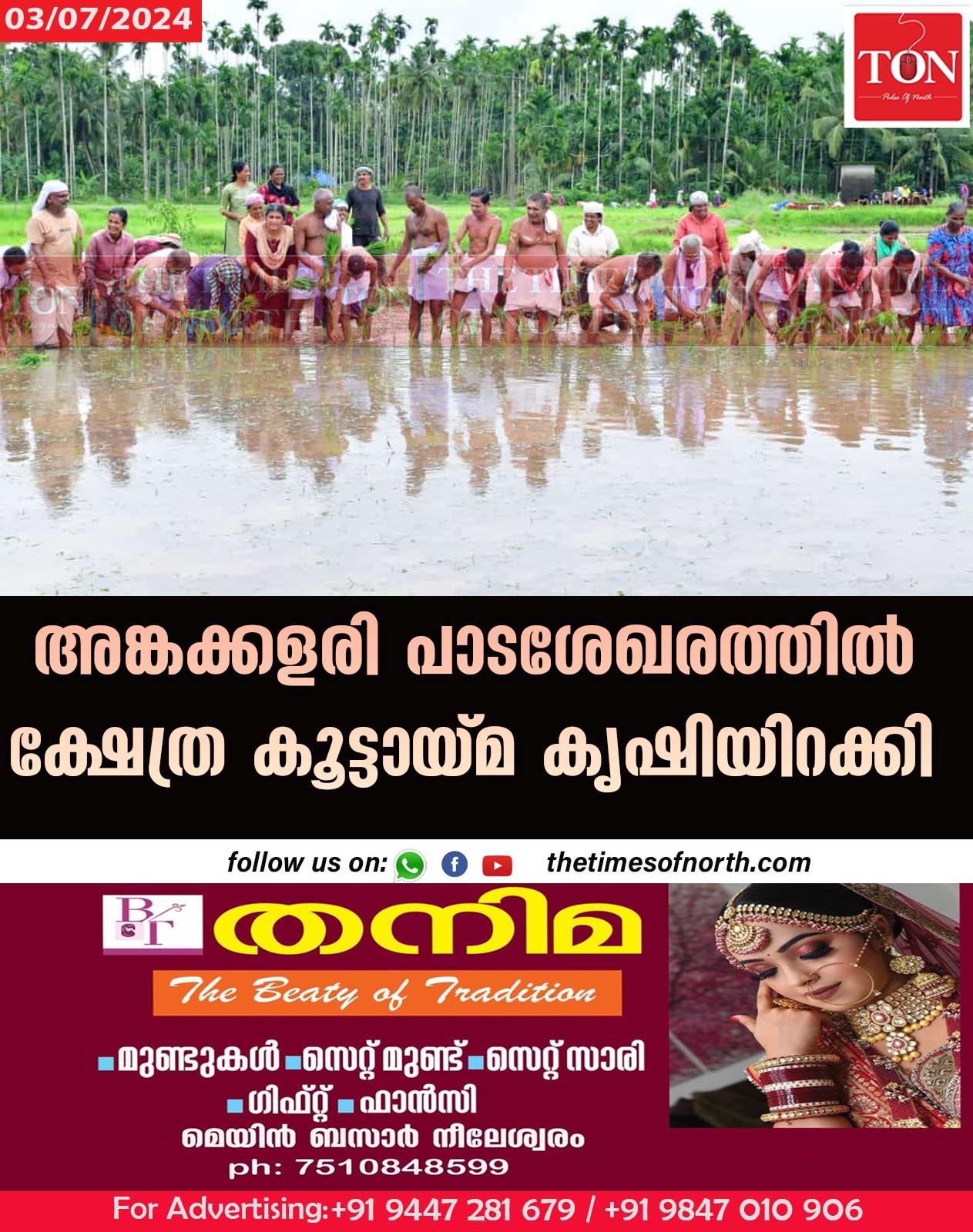 അങ്കക്കളരി പാടശേഖരത്തിൽ ക്ഷേത്ര കൂട്ടായ്മ കൃഷിയിറക്കി