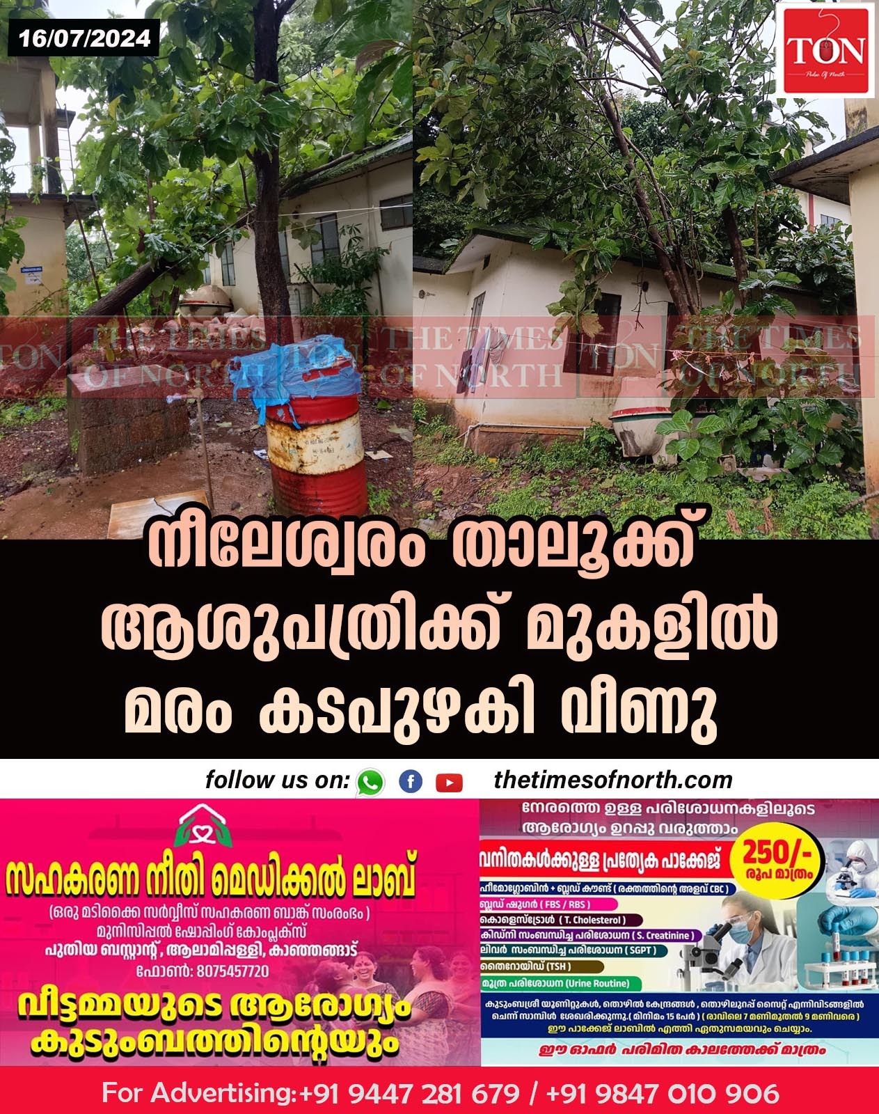 നീലേശ്വരം താലൂക്ക് ആശുപത്രിക്ക് മുകളിൽ മരംകടപുഴകി വീണു