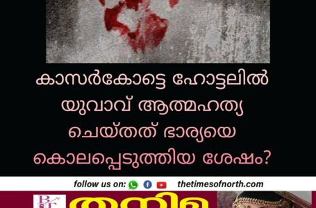 കാസർകോട്ടെ ഹോട്ടലിൽ യുവാവ് ആത്മഹത്യ ചെയ്തത് ഭാര്യയെ കൊലപ്പെടുത്തിയ ശേഷം?