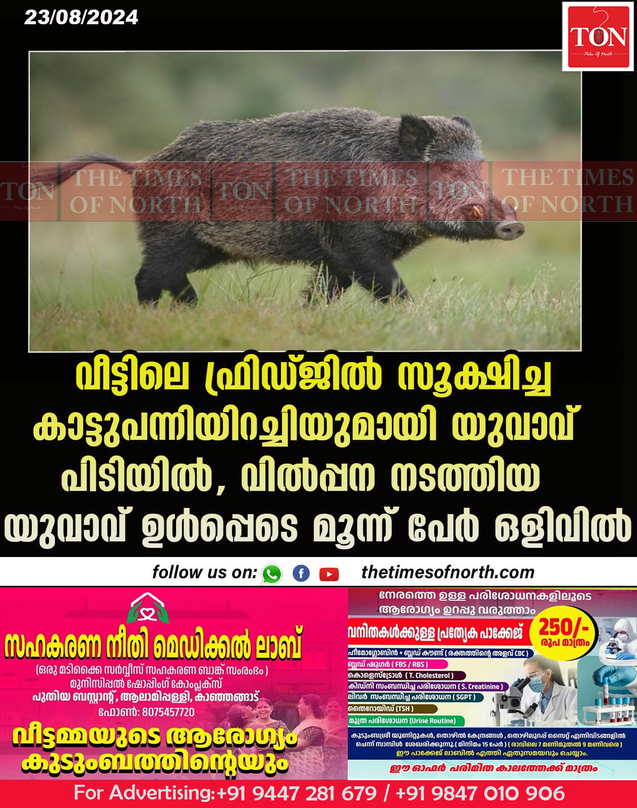 വീട്ടിലെ ഫ്രിഡ്ജിൽ സൂക്ഷിച്ച കാട്ടുപന്നിയിറച്ചിയുമായി യുവാവ് പിടിയിൽ, വിൽപ്പന നടത്തിയ യുവാവ് ഉൾപ്പെടെ മൂന്ന് പേർ ഒളിവിൽ