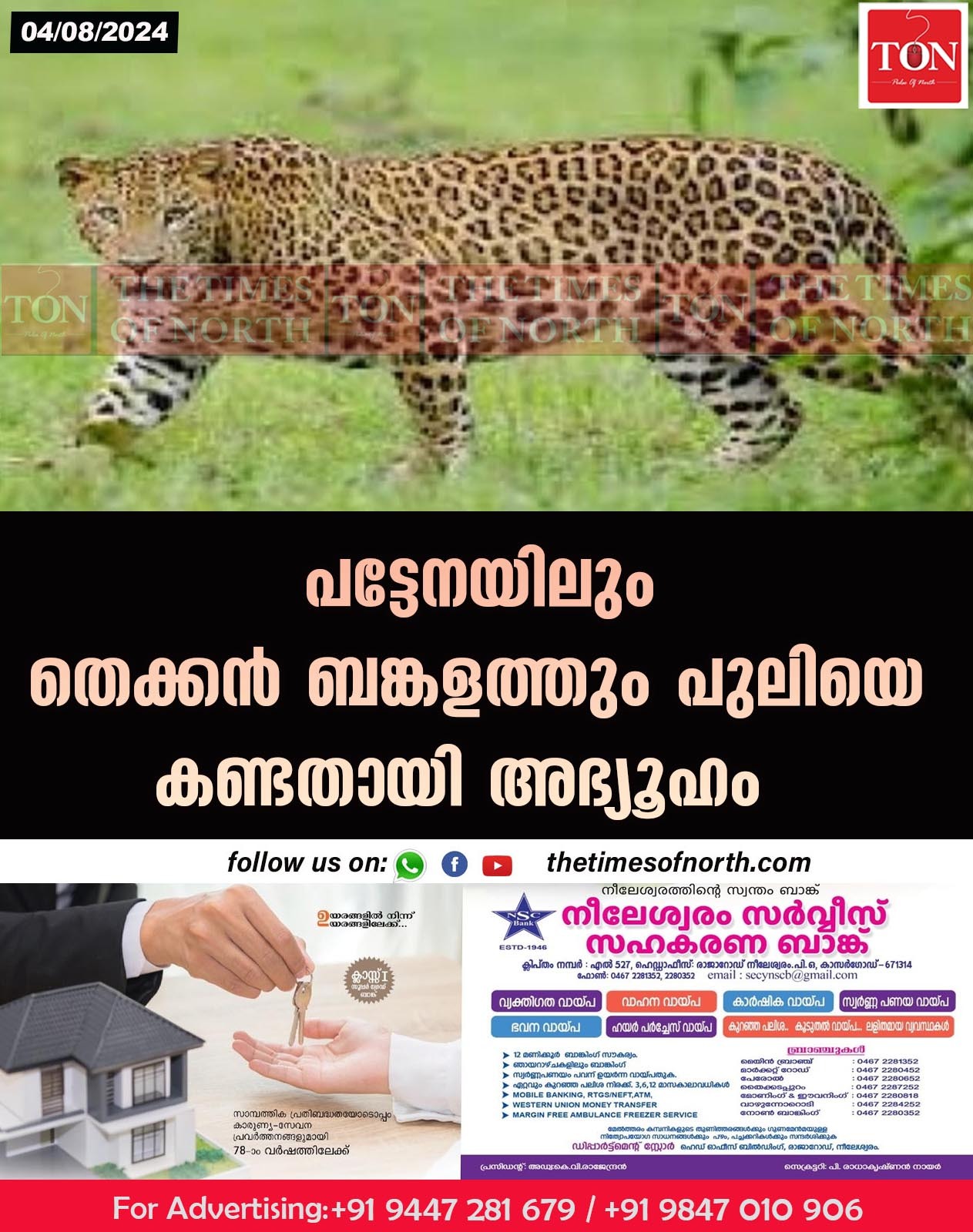 പട്ടേനയിലും തെക്കൻ ബങ്കളത്തും പുലിയെ കണ്ടതായി അഭ്യൂഹം