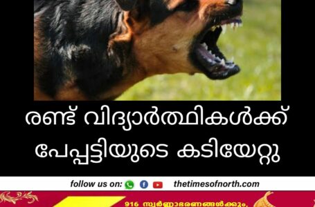 രണ്ട് വിദ്യാർത്ഥികൾക്ക് പേപ്പട്ടിയുടെ കടിയേറ്റു