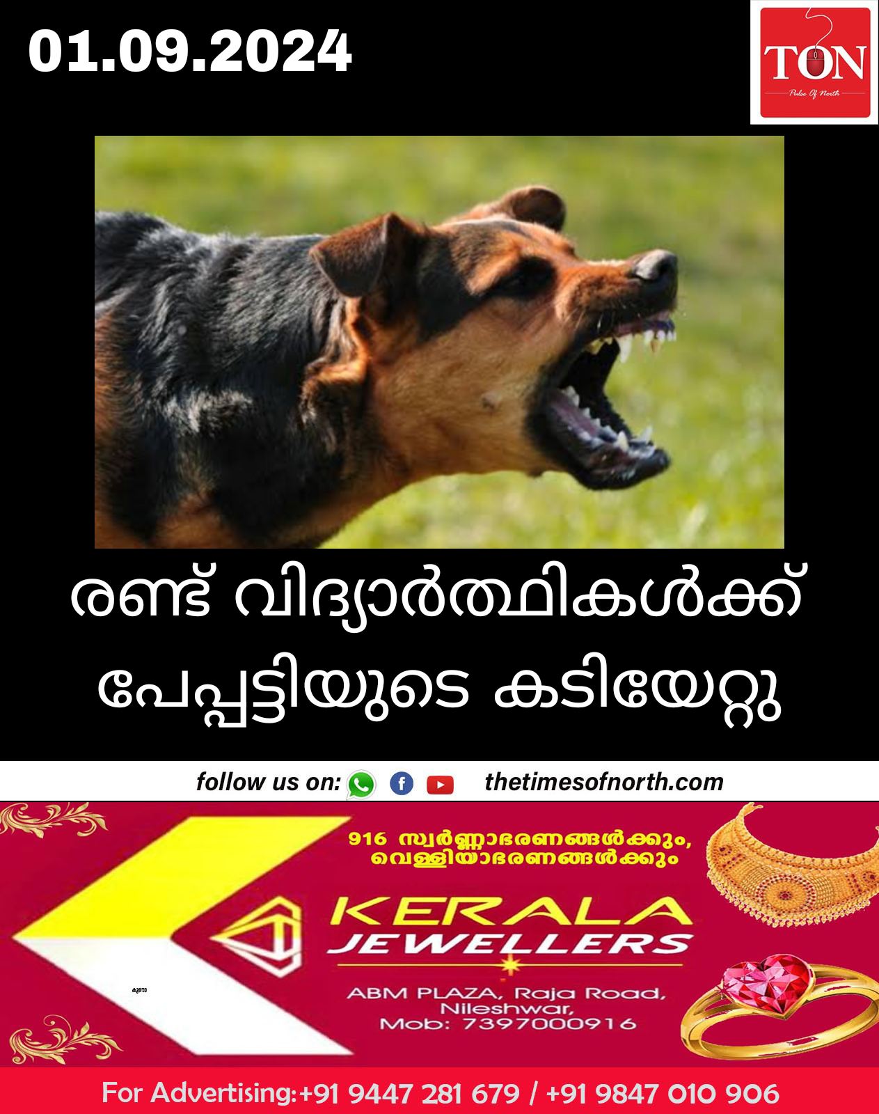 രണ്ട് വിദ്യാർത്ഥികൾക്ക് പേപ്പട്ടിയുടെ കടിയേറ്റു