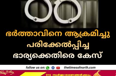 ഭർത്താവിനെ ആക്രമിച്ചു പരിക്കേൽപ്പിച്ച ഭാര്യക്കെതിരെ കേസ്