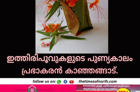 ഇത്തിരിപൂവുകളുടെ പുണ്യകാലം പ്രഭാകരന്‍ കാഞ്ഞങ്ങാട്.