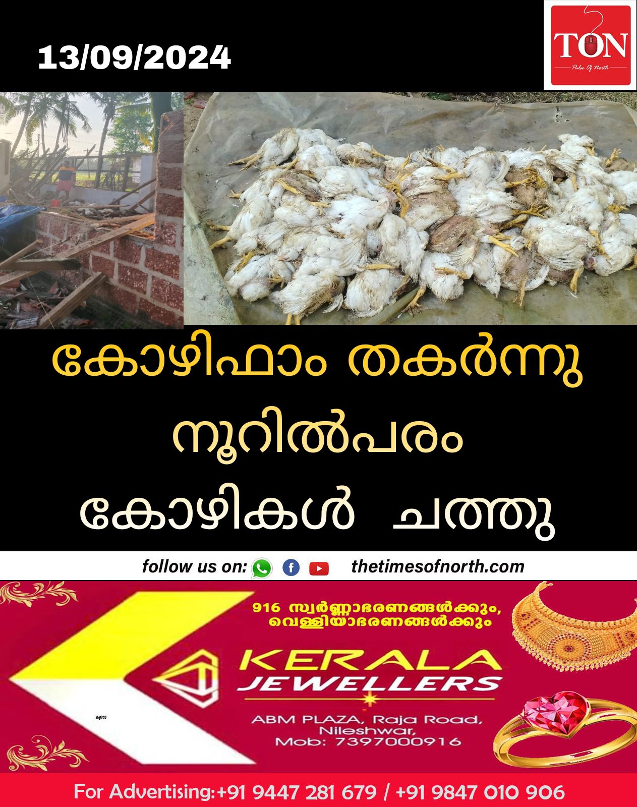 കോഴിഫാം തകർന്നു നൂറിൽപരം കോഴികൾ  ചത്തു