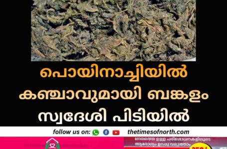 പൊയിനാച്ചിയിൽ കഞ്ചാവുമായി ബങ്കളം സ്വദേശി പിടിയിൽ