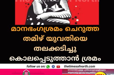 മാനഭംഗശ്രമം ചെറുത്ത തമിഴ് യുവതിയെ തലക്കടിച്ചു കൊലപ്പെടുത്താൻ ശ്രമം