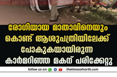 രോഗിയായ മാതാവിനെയും കൊണ്ട് ആശുപത്രിയിലേക്ക് പോകുകയായിരുന്ന കാർമറിഞ്ഞ മകന് പരിക്കേറ്റു