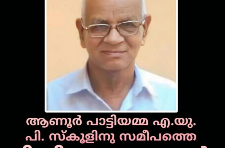 ആണൂർ പാട്ടിയമ്മ എ.യു. പി. സ്കൂളിനു സമീപത്തെ ടി.പി. നാരായണൻ അന്തരിച്ചു