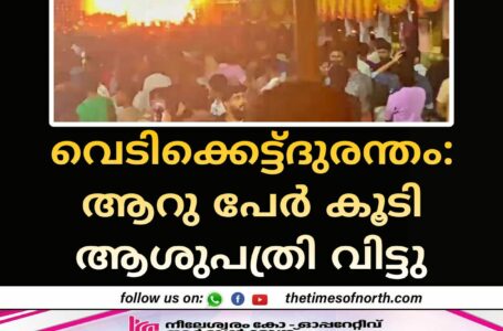 വെടിക്കെട്ട്ദുരന്തം: ആറു പേർ കൂടി ആശുപത്രി വിട്ടു