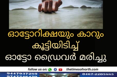 ഓട്ടോറിക്ഷയും കാറും കൂട്ടിയിടിച്ച് ഓട്ടോ ഡ്രൈവർ മരിച്ചു