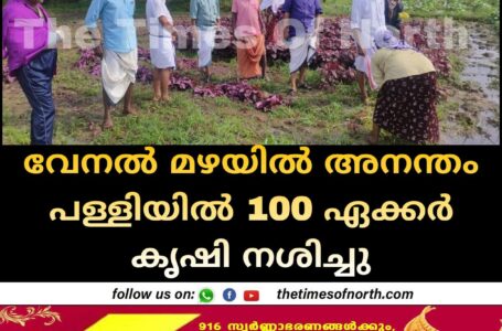 വേനൽ മഴയിൽ അനന്തം പള്ളിയിൽ 100 ഏക്കർ കൃഷി നശിച്ചു