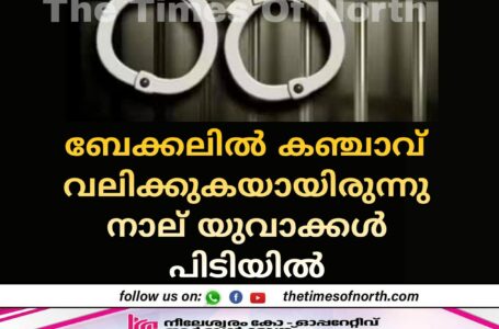 ബേക്കലിൽ കഞ്ചാവ് വലിക്കുകയായിരുന്നു നാല് യുവാക്കൾ പിടിയിൽ 