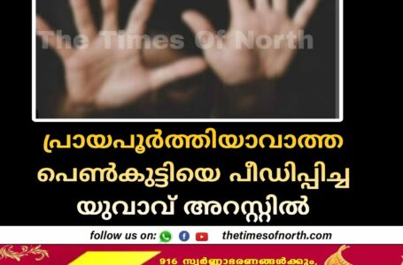 പ്രായപൂർത്തിയാവാത്ത പെൺകുട്ടിയെ പീഡിപ്പിച്ച യുവാവ് അറസ്റ്റിൽ