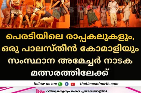 പെരടിയിലെ രാപ്പകലുകളും, ഒരു പാലസ്തീൻ കോമാളിയും സംസ്ഥാന അമേച്ചർ നാടക മത്സരത്തിലേക്ക് 