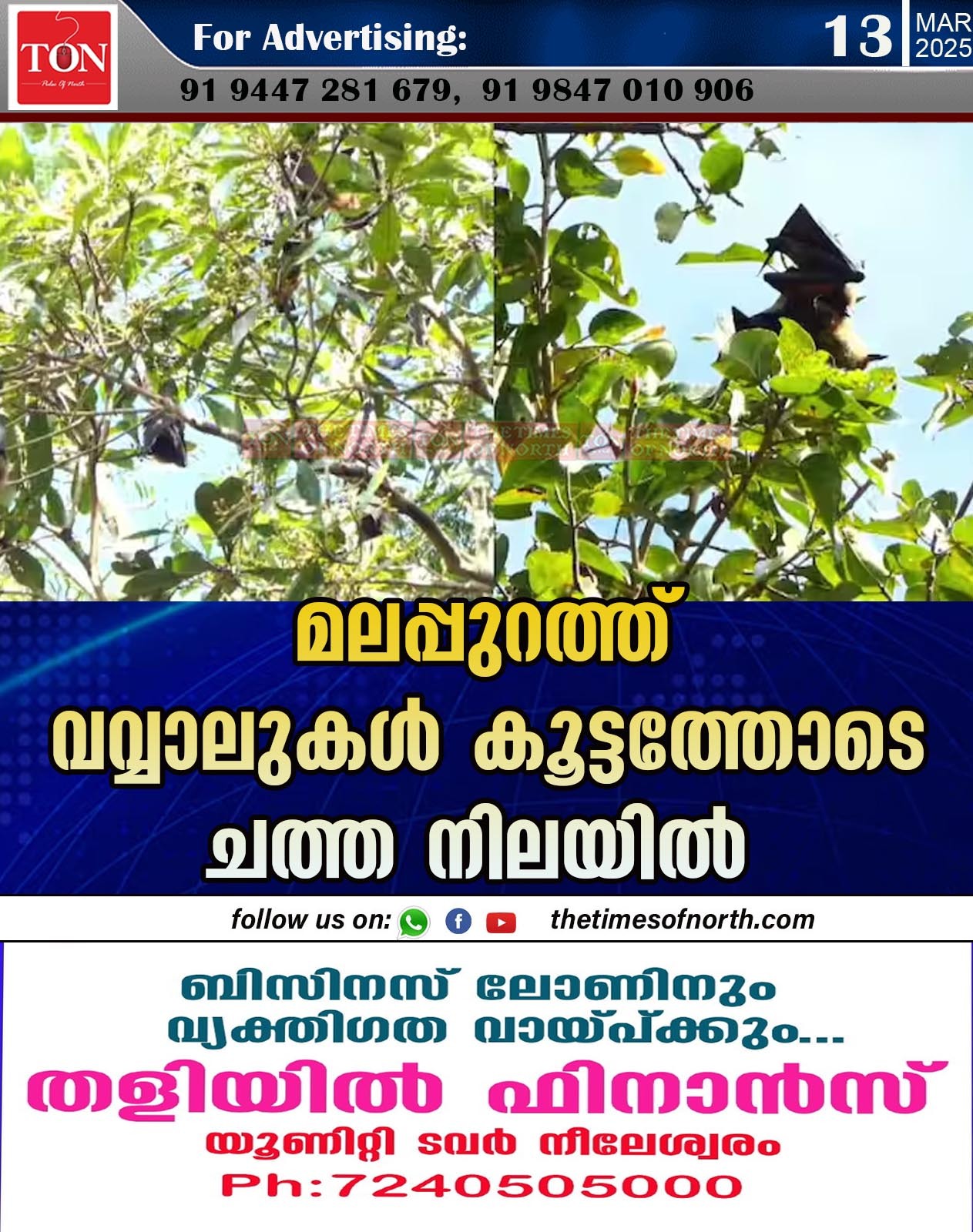 മലപ്പുറത്ത് വവ്വാലുകൾ കൂട്ടത്തോടെ ചത്ത നിലയിൽ